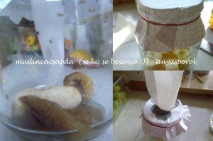 muslincacsapdaanyasporol