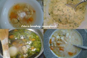 Óda a leveshez anyasporol