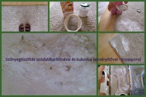 szőnyegtisztításanyasporol